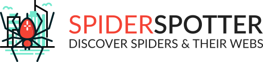 Spider Spotter Citizen Science 